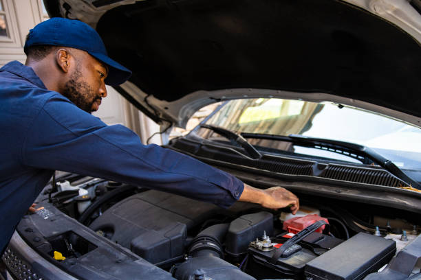 Synthetic vs Mineral